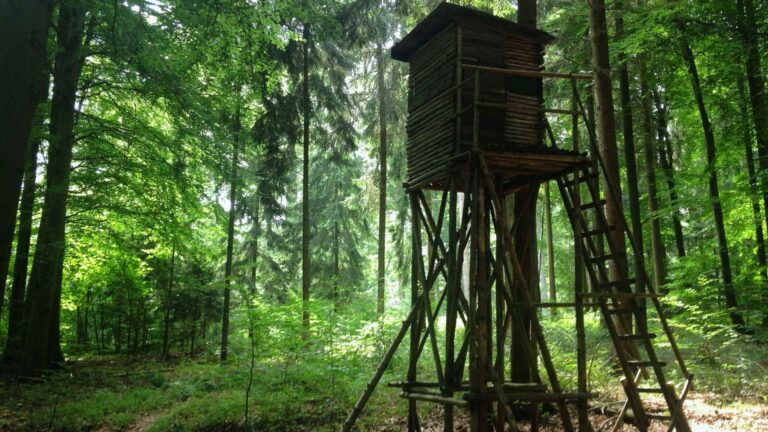 deer tree stand in the woods fabrication for hunters